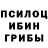 Галлюциногенные грибы прущие грибы Carlos Espinal