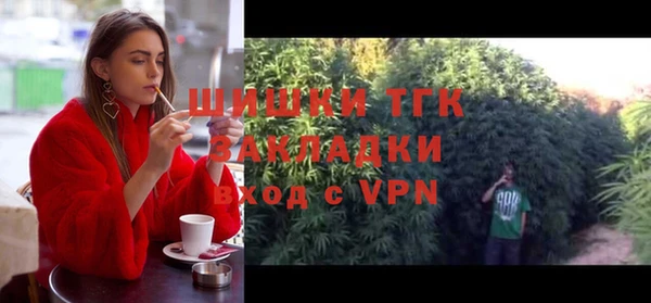 молекула духа Абинск