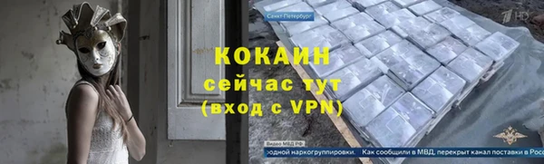 твердый Абаза