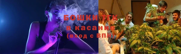 молекула духа Абинск