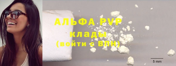 твердый Абаза