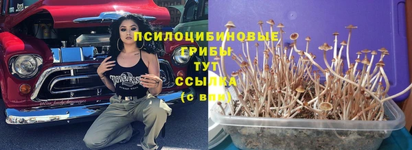 ECSTASY Сосновка