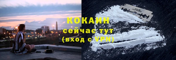 твердый Абаза